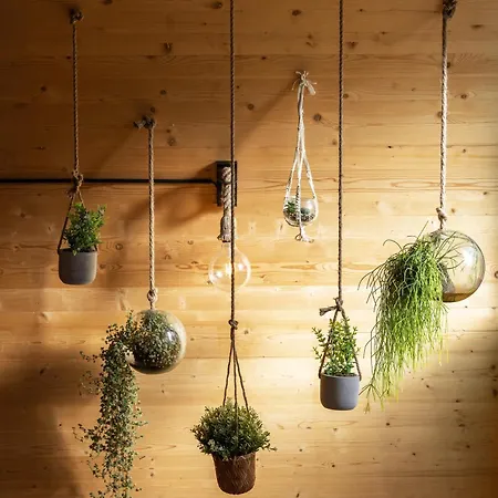 L'oasis Des Coccinelles Holiday home Sainte-Croix-aux-Mines