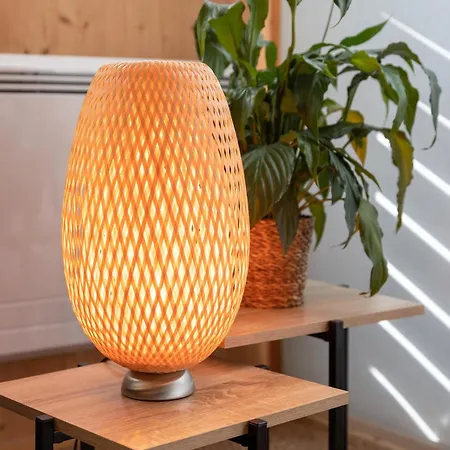 L'oasis Des Coccinelles *