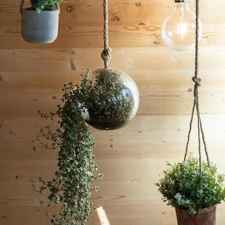 L'oasis Des Coccinelles * Sainte-Croix-aux-Mines