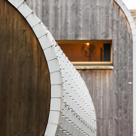 L'oasis Des Coccinelles *