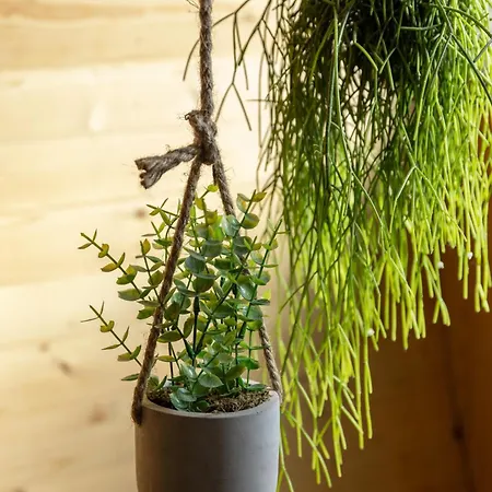 L'oasis Des Coccinelles 別荘 Sainte-Croix-aux-Mines