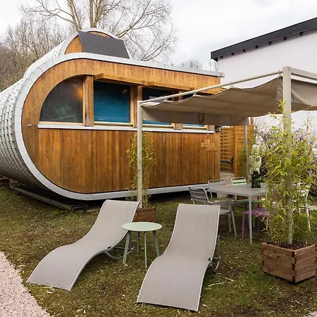 L'oasis Des Coccinelles *